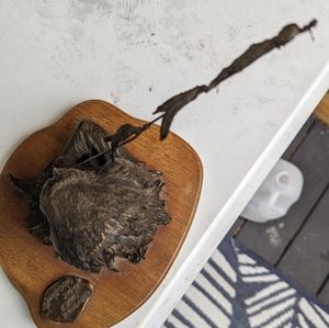 Family bought bronze